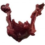 Корм "Підязична кістка" упаковка 4 кг.