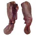 Корм "Язик кінський" упаковка 4.4 кг.