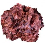 Корм МАЛЮК-АМ